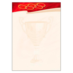 Papier ozdobny ARGO "SPORT" 170g /212317/