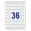 ZW685(2).jpg