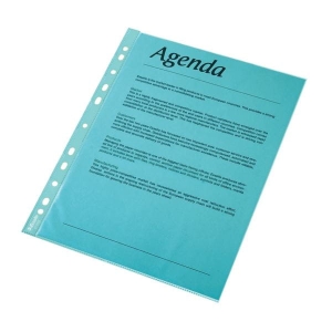 Koszulka zawieszkowa A4 55mic krystaliczna, niebieska ESSELTE 10szt. /47205/