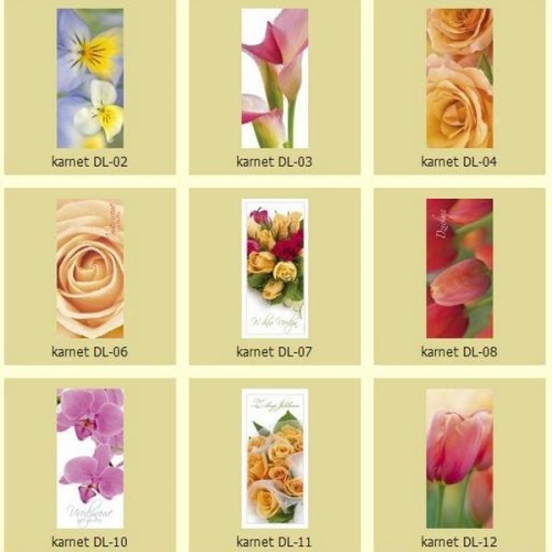 45c355ccb74c5ee9bd307efe727ae9b2