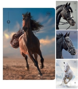 ZESZYT A5 32K KRATKA 70g OKŁADKA UV INTERDRUK WILD HORSES MIX WZORÓW 1szt.