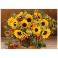 product_23801_image_77920.jpg