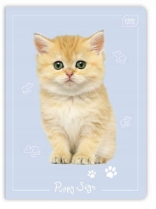 ZESZYT A5 16K TRZYLINIA KOLOROWA PUPPY PIESKI KOTKI MIX 1szt.