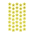 product_2643_image_29457.jpg