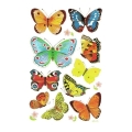 product_2697_image_29566.jpg