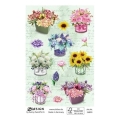 product_2726_image_29633.jpg