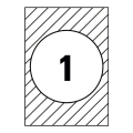 product_2817_image_36629.jpg