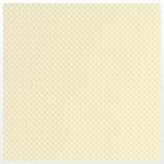 Papier ozdobny MICHALCZYK I PROKOP "JEANS KREMOWY" 246g