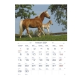 product_23794_image_77908.jpg