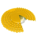 product_13383_image_56955.jpg