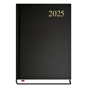 Terminarz A5 dzienny MICHALCZYK I PROKOP 2025 ASYSTENT Scaphandre czarny 1szt. / T-237C-V/