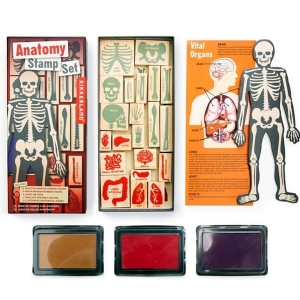 ZESTAW STEMPLI ANATOMIA KIKKERLAND 21szt.