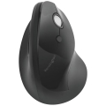 product_24206_image_43264.jpg