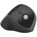 product_24206_image_43267.jpg