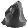 product_24206_image_43268.jpg