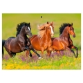 product_26814_image_88361.jpg