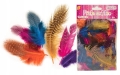 product_25093_image_80817.jpg