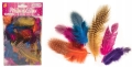 product_25093_image_80818.jpg