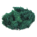 product_26023_image_86672.jpg