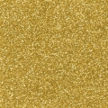 251069