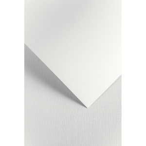 Papier ozdobny A4/240g kratka biały ARGO 20szt.