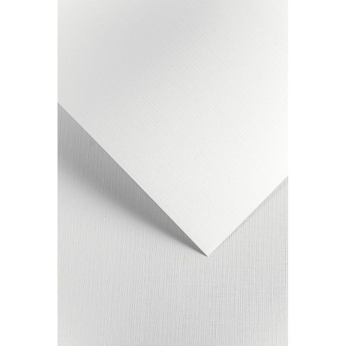 251066