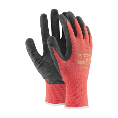 product_75378_image_186784.jpg