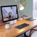 product_74689_image_185460.jpg