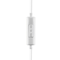 product_74432_image_184771.jpg
