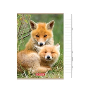 ZESZYT A5 16K TRZYLINIA KOLOROWA 70g BEZ MARGINESU OKŁADKA LAMINOWANA MATOWA HERLITZ ANIMALS MIX WZORÓW I KOLORÓW 1szt.